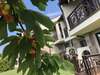 Виллы Menada Imperial Heights Villas Солнечный Берег-4