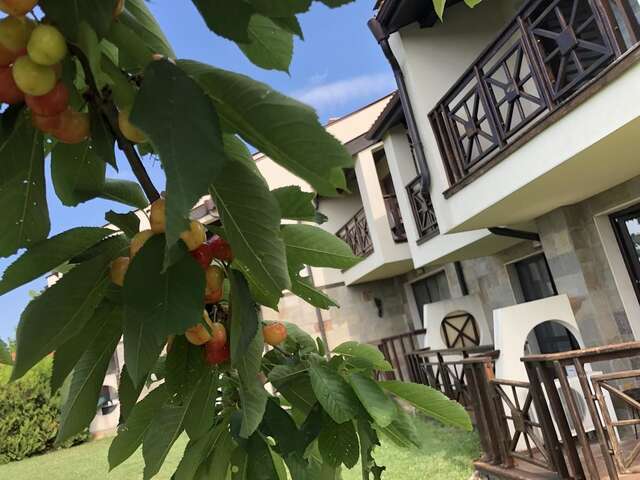 Виллы Menada Imperial Heights Villas Солнечный Берег-7